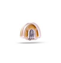 VERTYS FURBO COMPOSITE INSIDE (mufla transp.)