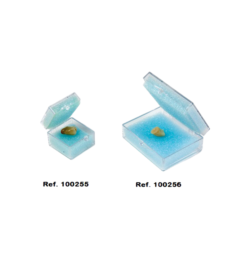 CAJAS DE TRANSPORTES GRANDES