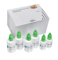 GC INITIAL  ZR COLORING LIQUID INTRO KIT