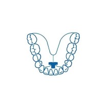 LEONE TORNILLO EXPANSIÓN TRIDIRECCIONAL PARA INFERIORES 1ud