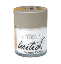 INITIAL MC DENTINA OPACA 20G