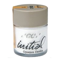 INITIAL TI DENTINA OPACA 20G