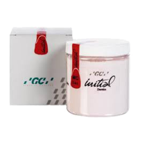INITIAL ZR-FS DENTINA 250G