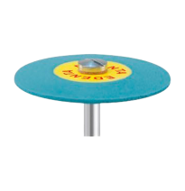 PULIDOR STAR GLOSS LAB. GRANO MEDIO 1ud