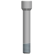 TORNILLO PROTESICO TIPO B