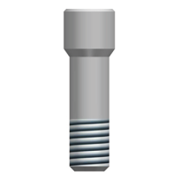 TORNILLO PROTESICO GFA TIPO C